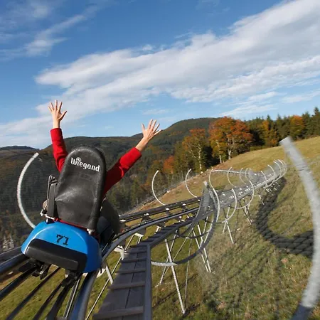 شقة Haus Tanneck - Fewo 5 - Feldberg Im Schwarzwald - #a32911 *