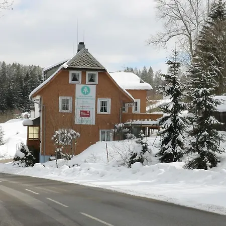 شقة Haus Tanneck - Fewo 5 - Feldberg Im Schwarzwald - #a32911