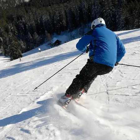 شقة Haus Tanneck - Fewo 5 - Feldberg Im Schwarzwald - #a32911 *