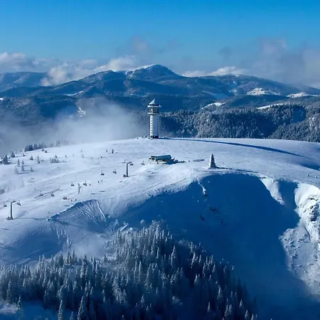 شقة Haus Tanneck - Fewo 5 - Feldberg Im Schwarzwald - #a32911