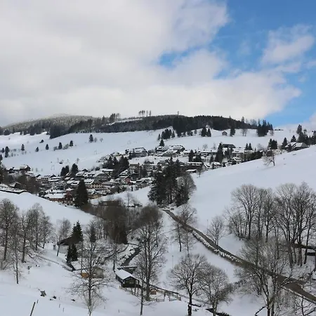 Haus Tanneck - Fewo 5 - Feldberg Im Schwarzwald - #a32911