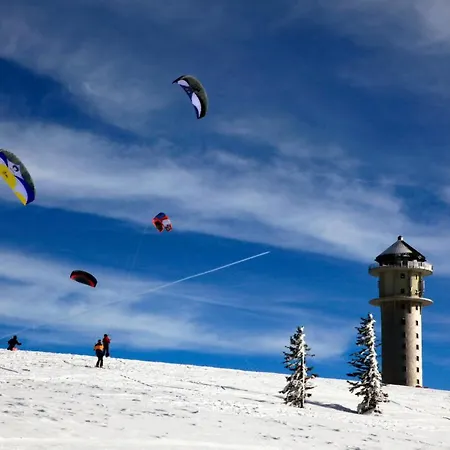 Haus Tanneck - Fewo 5 - Feldberg Im Schwarzwald - #a32911 شقة *