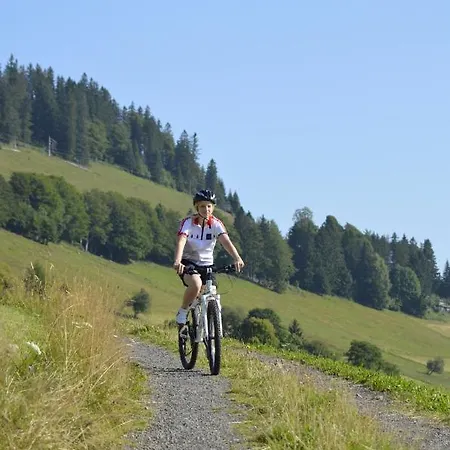 Haus Tanneck - Fewo 5 - Feldberg Im Schwarzwald - #a32911 شقة *