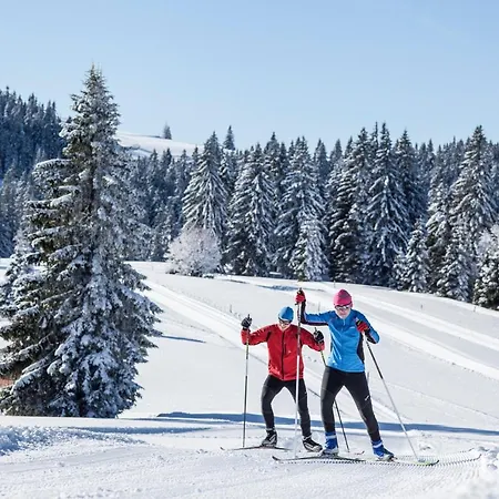 Haus Tanneck - Fewo 5 - Feldberg Im Schwarzwald - #a32911 شقة *